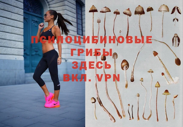 Альфа ПВП Армянск
