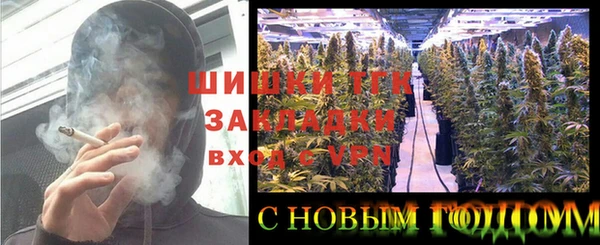 хмурый Протвино