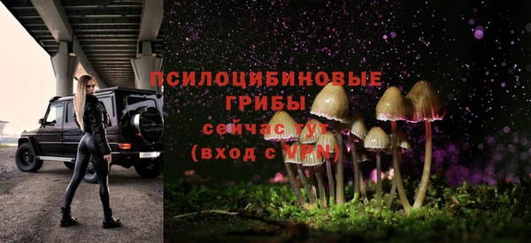 Альфа ПВП Армянск